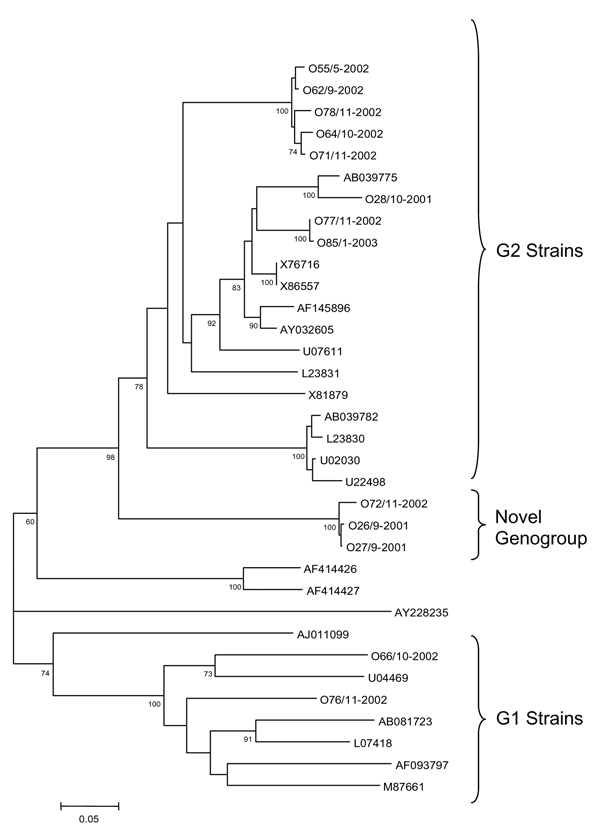 Phylogenetic tree of noroviruses based on the 327-base region of the 3´ end of the open reading frame 1 using 13 novel sequences designated according to outbreak number/month–year (example: O55/5–2002), and 21 sequences of Norwalk-like virus strains representative of the currently identified genogroups, designated according to GenBank accession number. Comparative strains include: Norwalk virus (M87661), SaitamaU1 (AB039775), Saitama U201 (AB039782), WUG1 (AB081723), Schreier (AF093797), Camberw