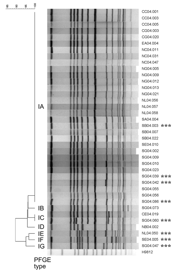 Dendrogram (left) obtained from cluster analysis of XbaI-generated macrorestriction patterns of 38 ciprofloxacin-resistant Salmonella enterica serotype Choleraesuis (right). Asterisks indicate extended-spectrum cephalosporin-resistant isolates. A percent scale of similarity is shown above the dendrogram. Pulsed-field gel electrophoresis (PFGE) types are shown between the gel and the dendrogram. H9812, S. enterica serotype Braenderup strain H9812, which was used as reference size marker.