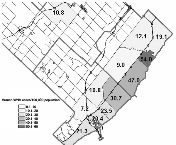 Calculated incidence of human West Nile virus (WNV) cases in south Halton, 2002. The incidence was 47 cases per 100,000 in the L6L forward sortation area (FSA) and 54 cases per 100,000 in the LKL FSA.