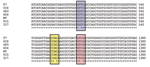 Thumbnail of Alignment of rpoB gene sequences showing the mutations detected in this case study. WT, wildtype; T7, 018, 604 – V176F (G to T, highlighted in blue); 483, H526R (A to G, highlighted in yellow); 915, 317, S531W (C to G, highlighted in pink).