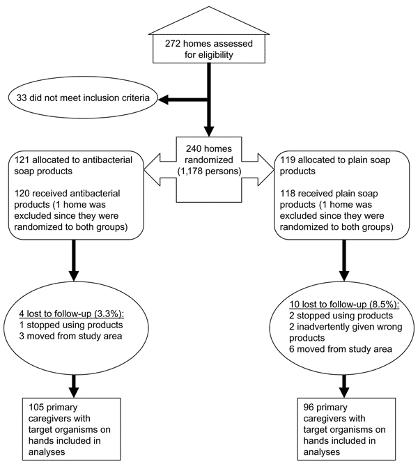 Flow chart for randomized trial. After randomization and loss to follow-up, the remaining study participants who carried target organisms were included in the logistic regression analyses.