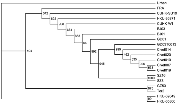 Phylogenetic relationships of severe acute respiratory syndrome (SARS) virus isolates based on the spike gene. The neighbor-joining tree was constructed by the neighbor-joining process with 1,000 bootstrap replicates. The origins of the sequences are as follows: Civet007, Civet010, Civet019, Civet020, and Civet014, palm civets from the restaurant; GD03T0013, the first SARS patient in 2004; SZ3 and SZ16, palm civets from a Shenzhen market in 2003; GZ60, HGZ8L1-A, ZS-A, ZS-B, ZS-C, and GD01, early