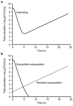 Thumbnail of Killing pattern for a fluoroquinolone against Pseudomonas aeruginosa that illustrates how the initial decline and subsequent regrowth observed in the total number of colony-forming units (A) represent the sum of a decline in the susceptible subpopulation and the uninhibited growth of a resistant subpopulation (B).
