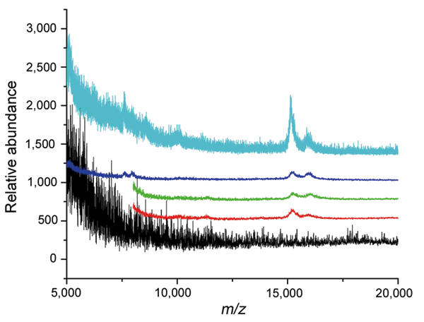 Mass spectroscopic analysis of sterile saline flush syringes after routine use. The contents of the used syringes were concentrated by centrifugation. Matrix-assisted laser desorption ionization detected the α and β chains of hemoglobin as the ions at mass/charge (m/z) 15,126 and 15,867, respectively, in samples A (red), B (green), C (blue), and J (aqua) that were absent in the matrix alone (black). The lower limit of sensitivity with matrix-assisted laser desorption ionization is ≈0.5 erythrocy