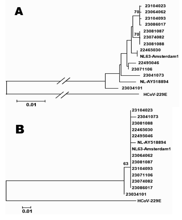 A) Phylogenetic analysis of a 523-bp region of the partial spike gene of 12 human coronavirus (HCoV)-NL63 isolates from France. To construct the trees, the 2 prototype strains NL63-Amsterdam1 and NL-AY518894 were included. HCoV-229E is used as an outgroup. A) Nucleotide sequence alignments created with ClustalX 1.83; bootstrap values ≥70 are indicated. B) Predicted amino acid sequences; bootstrap values ≥50 are indicated.