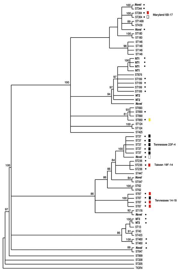 Bayesian analysis of the phylogenetic relationship among pneumococcal isolates from sickle-cell disease patients as determined by multilocus sequence type (MLST). ST, sequence type, as defined by the MLST database. Strains in boldface had recognized allele numbers but not recognized profiles according to the current database (listed as NT). Putative novel sequence types (those with unrecognized alleles) are in boldface and italics. Dots indicate resistance to penicillin. Boxes indicate sequence 