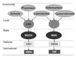 Thumbnail of Comparison of Michigan human and animal disease reporting system structures. LHJ, Local Health Jurisdiction; MDCH, Michigan Department of Community Health; CDC, Centers for Disease Control and Prevention; WHO, World Health Organization; MDA, Michigan Department of Agriculture, Animal Plant Health Inspection Service, Veterinary Services; USDA, US Department of Agriculture; OIE, Office International Epizooties.