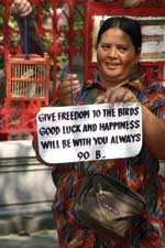 Thumbnail of Vendor selling wild-caught birds for release at a religious shrine in Thailand. (Photo by W.B. Karesh.)