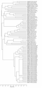 Thumbnail of Phylogenetic relationships of the 82 different sequence type variations found in 518 Streptococcus pneumoniae isolates with combined erm(B)- and mef(A)-mediated macrolide resistance collected during the PROTEKT global study (1999–2003, n = 366) and the PROTEKT US study (2000–2003, n = 152) compared with the 20 PMEN (Pneumococcal Molecular Epidemiology Network [29]) clones.