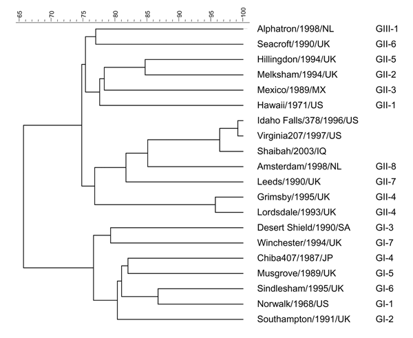 Dendrogram of the 5´ end of open reading frame 2 of noroviruses, including the Shaibah strain. Scale at the top shows percent relatedness between different strains. GenBank strains are Alphatron/1998/NL (AF195847), Seacroft/1990/UK (AJ277620), Hillingdon/1994/UK (AJ277607), Melksham/1995/UK (X81879), Mexico/1989/MX (U22498), Hawaii/1972/US (U07611), Idaho Falls/378/1996/US (AY054299), Virginia207/1997/US (AY038599), Amsterdam/1998/NL (AF195848), Leeds/1990/UK (AJ277608), Grimsby/1995/UK (AJ00486