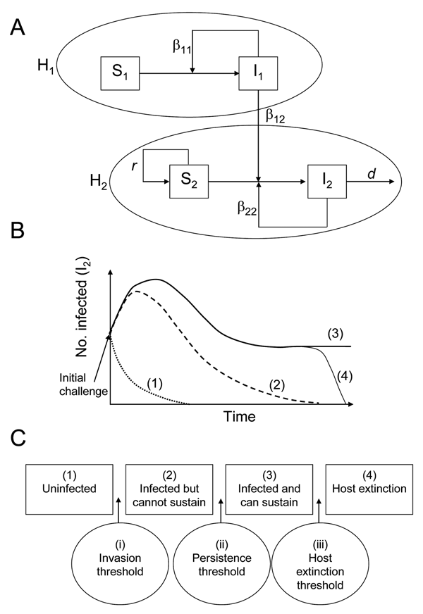 Emerging infectious disease framework. A) Schematic diagram of the multihost-pathogen community. B) Possible outcomes for a novel host, H2, after an initial infection by a pathogen endemic in an existing host, H1, where (1) the pathogen is unable to invade H2, (2) the pathogen invades but cannot be sustained within H2, (3) the pathogen invades and persists in H2, and (4) the pathogen invades and drives H2 to extinction. C) Three thresholds separating the 4 possible outcomes: (i) the invasion thr
