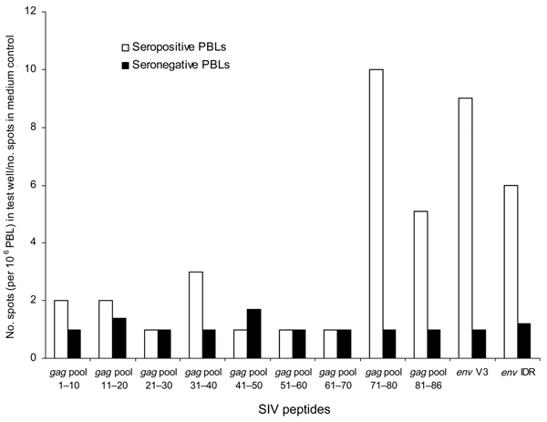 Interferon-γ enzyme-linked immunospot reactivity stimulated with SIVcol peptides from the env and gag regions in peripheral blood lymphocytes (PBLs) from a person seropositive for both the SIVcol V3 and immunodominant region (IDR) peptides and a seronegative person from Africa (both men). To include both assays in a single graph, the number of spots per 106 PBLs for each pool of gag peptides was divided by the number of spots per 106 PBLs in the medium control. This value was expressed as the le