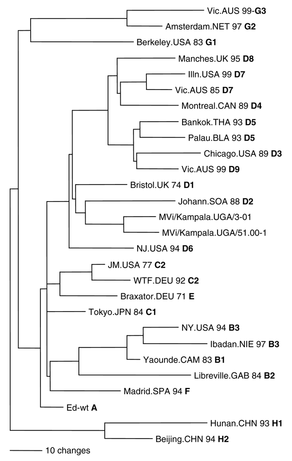 Phylogenetic analysis of sequences of hemagglutinin genes of wildtype measles viruses isolated in Uganda during 2000–2002. The unrooted tree shows sequences from the Ugandan viruses compared with World Health Organization reference strains for each genotype. Genotype designation is in bold.