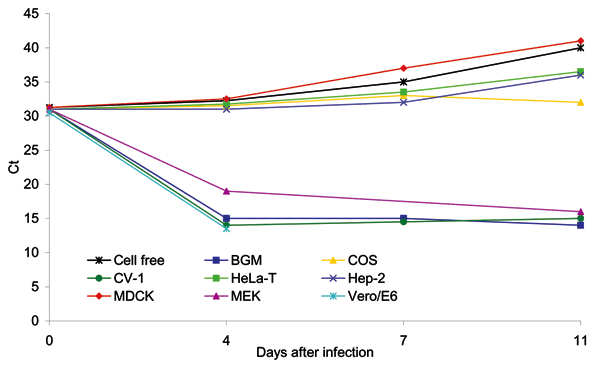 Cycle threshold (Ct) changes measured by real-time polymerase chain reaction versus days after infection of the indicated cell lines. The cell-free sample had an initial Ct of 31, which rose to 40 by day 11. Reductions in the Ct or flat-line Ct values (e.g., COS cells) indicate replication of the virus. Continued increases in Ct above the initial value of 31 by days 7 and 11 indicate failure to replicate.