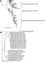 Thumbnail of Phylogenetic trees of H5 sequences. A) Phylogenetic tree based on the amino acid sequence distance matrix, representing all H5 amino acid sequences available from public databases. The scale bar represents ≈10% of amino acid changes between close relatives. *Represent location of the H5 influenza A viruses isolated from Mallards. B) DNA maximum likelihood tree for the cluster of European H5 influenza A viruses and the low pathogenic avian influenza H5 influenza A viruses isolated fr