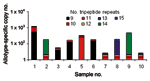 Thumbnail of Copy numbers for genotypes of the K1 allotype in 10 field samples. Distribution of K1 genotypes within the 8 patients whose samples yielded amplicons with K1-specific primers (Table 4). These results indicate that most infected persons had &gt;2 allotypes. In addition, persons with K1 allotype parasites had a high degree of genotypic complexity, that is, capillary electrophoresis showed up to 4 distinct K1 genotypes in the blood of individual patients at the same time.