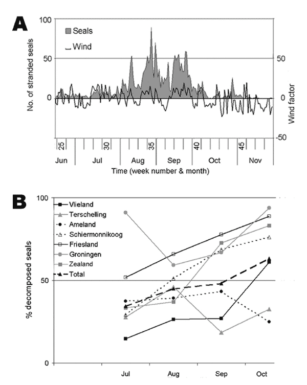 Effects of environmental variables on seal strandings in the Netherlands during the 2002 phocine distemper virus epidemic. A) Effect of wind direction and force on temporal distribution of stranded seals. Stranding rate of seals is expressed as number of seals reported per day. The wind factor is a function of wind force and wind direction. Negative wind factors correspond to southerly winds. B) Effect of state of decomposition on temporal distribution of stranded harbor seals, overall and per l