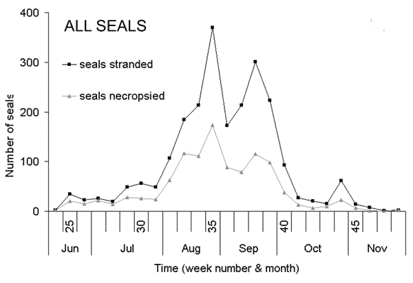 Weekly stranding rate of all recorded stranded seals compared to that of seals that underwent necropsy.
