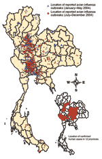 Thumbnail of Distribution of reported highly pathogenic avian influenza H5N1 outbreaks in villages in Thailand, January–May 2004 (188 villages of 193 flocks) and July–December 2004 (1,243 villages of 1,492 flocks).