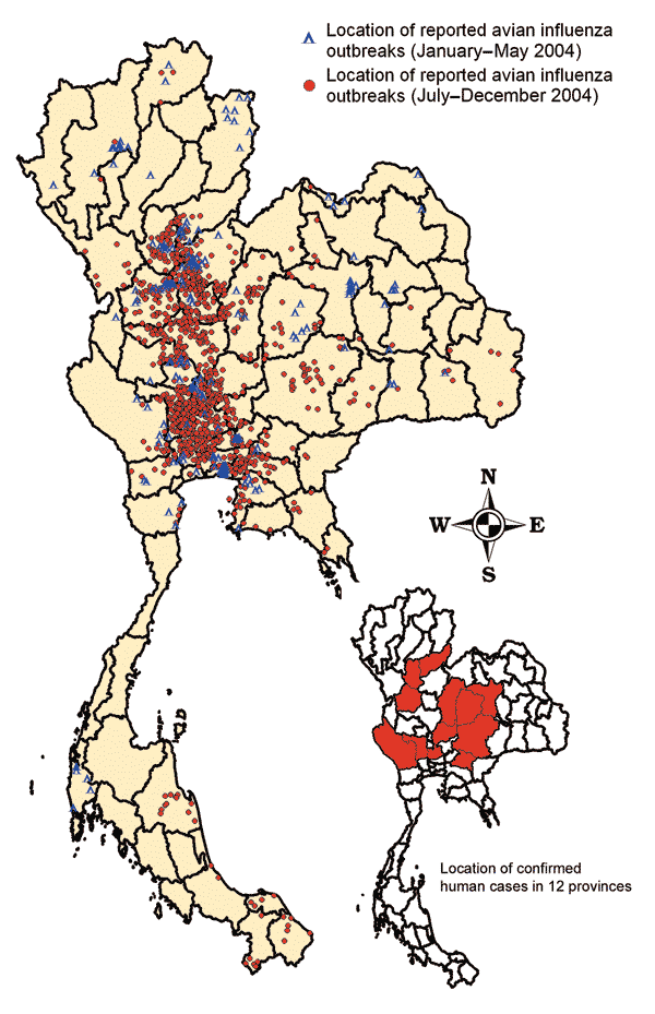 Distribution of reported highly pathogenic avian influenza H5N1 outbreaks in villages in Thailand, January–May 2004 (188 villages of 193 flocks) and July–December 2004 (1,243 villages of 1,492 flocks).