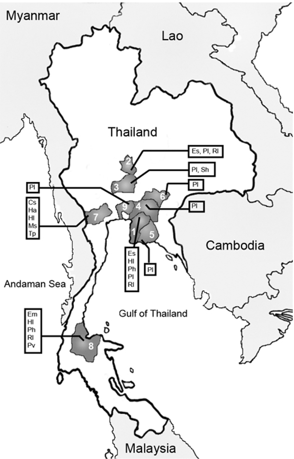 Locations in Thailand where bats have been captured. 1 = Chon Buri, 2 = Sing Buri, 3 = Ayutthaya, 4 = Cha Choeng Sao, 5 = Ra Yong, 6 = Pra Chin Buri, 7 = Ratcha Buri, 8 = Surat Thani, 9 = Bangkok. Species analyzed: Cs = Cynopterus sphinx, Em=Emballonura monticola, Es = Eonycteris spelaea, Ha = Hipposideros armiger, Hl = Hipposideros larvatus, Ms = Megaderma spasma, Ph = Pteropus hypomelanus, Pl = P. lylei, Pv = P. vampyrus, Rs = Rousettus leschenaulti, Sh = Scotophilus heathi, Tp = Tadarida plic