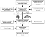 Thumbnail of Contextual determinants of foodborne trematodiasis. Solid arrows, negative impact; dashed arrows, positive impact.