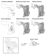 Thumbnail of Distribution of highly pathogenic avian influenza (HPAI) outbreaks in chickens and ducks, Thailand, July 3, 2004–May 5, 2005, and respective distribution of broilers and layers hens, native chicken, meat and layer ducks, and free-grazing duck populations.