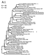 Thumbnail of Genetic relationships among 48 North American Francisella tularensis subsp. tularensis A.I. subpopulation isolates based upon allelic differences at 24 variable number tandem repeat (VNTR) markers. County, state, and year of isolation are specified to the right of each branch or clade. G indicates number of distinct VNTR marker genotypes, dots indicate host-linked isolates, boxed designation indicates prominent F. tularensis subsp. tularensis laboratory strain SCHU S4, and asterisks