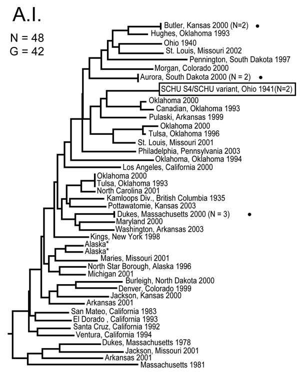 Genetic relationships among 48 North American Francisella tularensis subsp. tularensis A.I. subpopulation isolates based upon allelic differences at 24 variable number tandem repeat (VNTR) markers. County, state, and year of isolation are specified to the right of each branch or clade. G indicates number of distinct VNTR marker genotypes, dots indicate host-linked isolates, boxed designation indicates prominent F. tularensis subsp. tularensis laboratory strain SCHU S4, and asterisks indicate iso