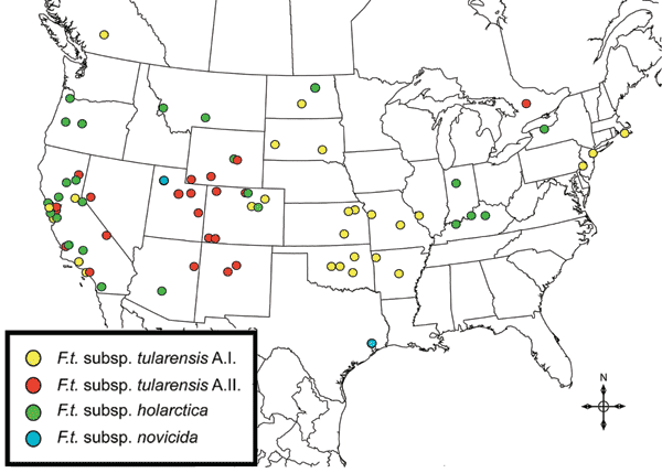 Spatial distribution of 125 Francisella tularensis isolates for which information on originating county was available. Locations (colored circles) correspond to county centroids. More than 1 subspecies was isolated from some counties in California (Alameda, Contra Costa, Los Angeles, San Luis Obispo, and Santa Cruz) and Wyoming (Natrona) (see Figures 1–3). In some cases, a single circle may represent instances where &gt;1 sample of a given subspecies or genotypic group was isolated from a single