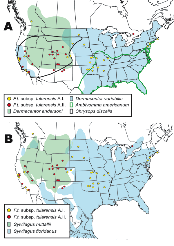 Spatial distributions of isolates from the A.I. and A.II. subpopulations of Francisella tularensis subsp. tularensis relative to A) distribution of tularemia vectors Dermacentor variabilis, D. andersoni, Amblyomma americanum, and Chrysops discalis; and B) distribution of tularemia hosts Sylvilagus nuttallii and S. floridanus.