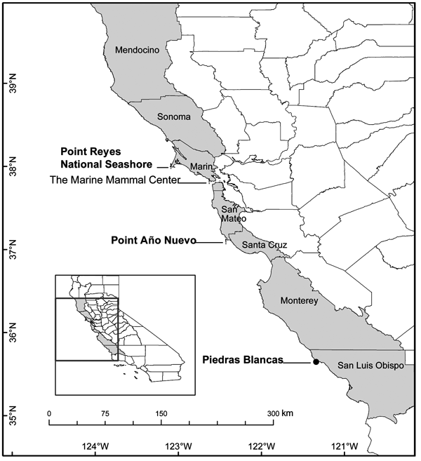 Location of The Marine Mammal Center (TMMC), rescue range of TMMC (shaded), and northern elephant seal rookeries (Point Reyes National Seashore, Point Año Nuevo, Piedras Blancas) where seals were sampled along the California coastline.