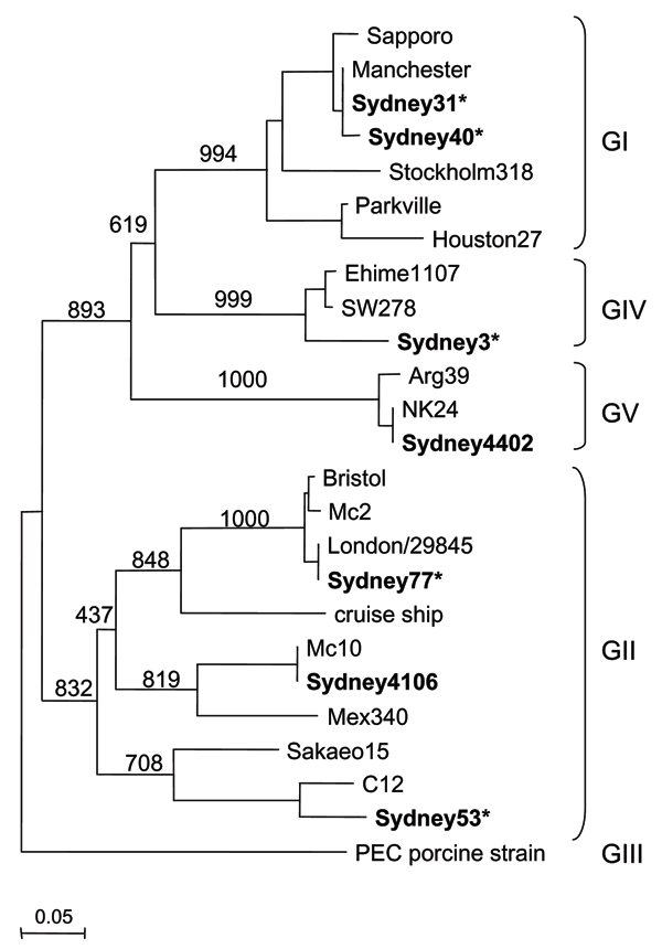 Phylogenic tree of Sapovirus (SaV) sequences isolated in this study (represented in boldface). SaV nucleotide sequences were constructed with the partial N-terminal capsid region, using SaV PEC strain (a porcine SaV) as an outgroup. The numbers on the branches indicate the bootstrap values for the clusters. Bootstrap values &gt;950 were considered statistically significant for the grouping (8). Asterisks indicate specimens collected from outpatients. The distance scale in nucleotide substitution