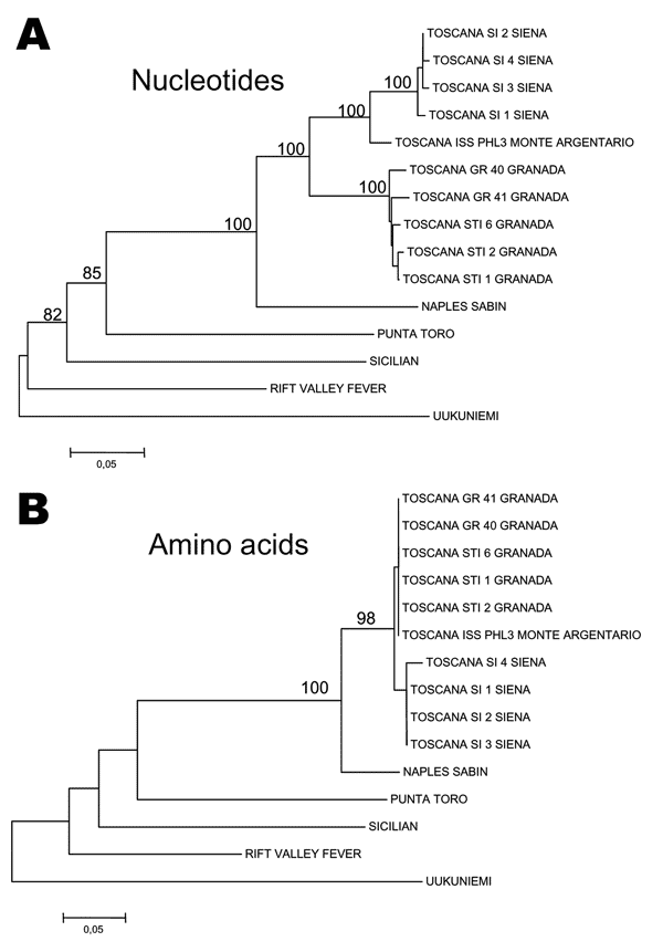 Phylogenetic trees reconstructed from nucleotide (A) and amino acid (B) sequences corresponding to a 236-nucleotide fragment of the N gene. Alignments were obtained with ClustalX 1.8 and p-distance matrices were obtained. Neighbor-joining by using 100 pseudoreplications for the bootstrap tests were carried out after excluding gaps from the alignments. Bootstrap values &lt;75% are not shown. The numbers attached to branches are bootstrap values. A value of 0.05 substitutions per site is equivalen