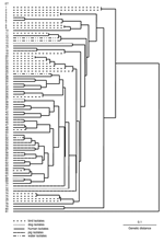 Thumbnail of Dendrogram showing relationships between 107 isolates of Brachyspira pilosicoli originating from various host species located in electrophoretic types (ETs) 1-80 and B. aalborgi NCTC 11492T located in ET81.