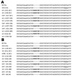 Thumbnail of Sequence alignment of region corresponding to the 3´ portion of pks15 and 5´ portion of pks1 in various Mycobacterium tuberculosis genotypes. A) M. tuberculosis strains isolated from cerebrospinal fluid. B) M. tuberculosis strains isolated from sputum. Letters in brackets refer to IS6110 restriction fragment length polymorphism patterns: BJ, Beijing; SB, single banded; FB, 2–5 bands; NB, Nonthaburi; H, heterogeneous. The 7-bp insertion is shown in boldface, and the start codon of th