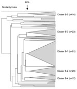 Thumbnail of Pulsed-field gel electrophoresis dendrogram indicating the genetic relationship among serogroup B meningococcal isolates in South Africa, August 1999–July 2002.