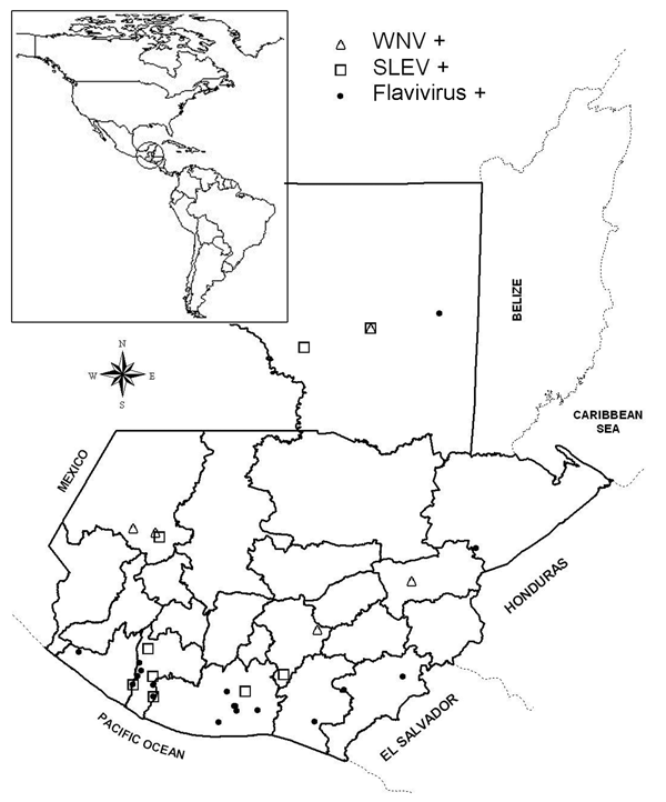 Geographic distribution in Guatemala of horses showing previous infections with West Nile virus (WNV), Saint Louis encephalitis virus (SLEV), or undifferentiated flavivirus as confirmed by plaque reduction neutralization test. Each location may have multiple positive horses.