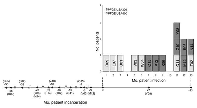 Timeline of incarceration and isolation of methicillin-resistant Staphylococcus aureus isolates from different patients. Top panel: baseline shows months in which a particular isolate was recovered and patient was identified as infected; y-axis shows number of patients in each clonal group per month during the outbreak period. Bottom panel: horizontal line shows duration in which patients were incarcerated in relation to the outbreak period. Month 0 and month numbers with – and + symbols represe