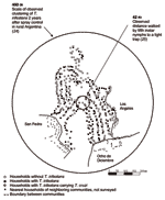 Thumbnail of Map of households with Triatoma infestans and Trypanosmona cruzi–infected T. infestans in Guadalupe, a periurban community of Arequipa, Peru. Concentric circles are drawn around a house near the center of Guadalupe and represent parameters of T. infestans dispersal observed in rural areas (24,25). The nearest houses of neighboring communities are included for reference.