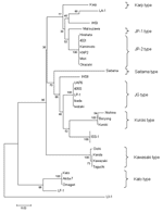Thumbnail of Phylogenetic tree produced by unweighted pair-group method with arithmetic means that shows the positions of IHS I and IHS II genotypes based on the partial 56-kDa sequence homologies. Numbers at nodes indicate bootstrap values, and the scale bar shows genetic distance of 0.02.