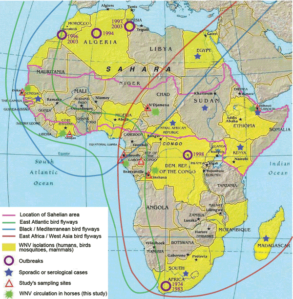 West Nile virus (WNV) circulation in Africa (3,6–10). Map of Africa summarizes published data related to WNV isolations, outbreaks, and sporadic or serologic cases (including this study). It also indicates the main bird migration routes (source: Wetlands International, Wageningen, the Netherlands). Source: Food and Agricultural Organization of the United Nations.