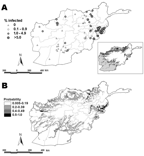 A) Prevalence of Plasmodium vivax in Afghanistan, according to a 2005 survey (n = 269) and previous prevalence surveys conducted by HealthNet-TPO, 2000–2003 (n = 64). Lower-right inset shows ecologic zones in Afghanistan according to differences in elevation, temperature, and land cover. White, high altitude rangeland; light gray, desert; dark gray, grassland; black, irrigated/marshland. B) Predicted probability of P. vivax transmission (prevalence &gt;0%) in Afghanistan, according to logistic r