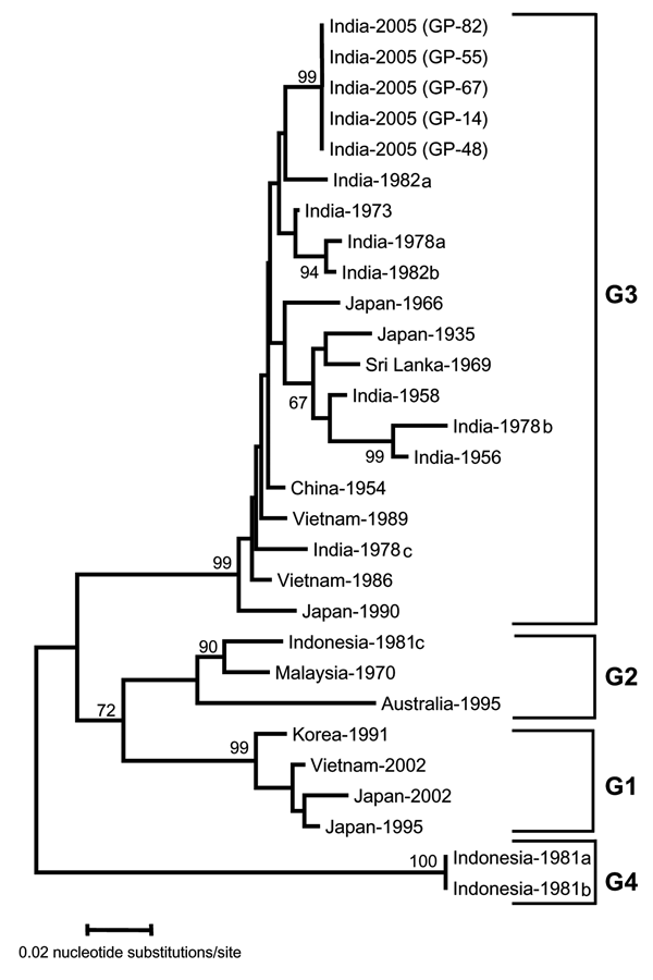 Sequence phylogeny based on partial E gene sequence of Japanese encephalitis virus isolates from the Gorakhpur epidemic, with reference to other Southeast Asian isolates. The tree was generated by neighbor-joining method. Each strain is abbreviated with the country of origin, followed by the year of isolation. Bootstrap values are indicated at the major branch points.