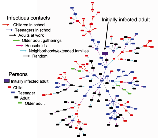 Initial growth of an infectious contact network. Colored rectangles denote persons of designated age class, and colored arrows denote groups within which the infectious transmission takes place. In this example, from the adult initial seed (large purple rectangle), 2 household contacts (light purple arrows) bring influenza to the middle or high school (blue arrows) where it spreads to other teenagers. Teenagers then spread influenza to children in households who spread it to other children in th