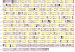 Thumbnail of Entropy plot for all 11 influenza proteins for human (top) versus avian (bottom). In each aligned position, we have a consensus residue for 95 avian strains displayed on top, and a consensus residue for 306 human strains at the bottom. Completely conserved amino acid positions are filled with white, while less conserved amino acids are filled in various gray shadings. Positions where one single residue dominates over 90%, less than 90% but greater than 75%, and less than 75% are lab