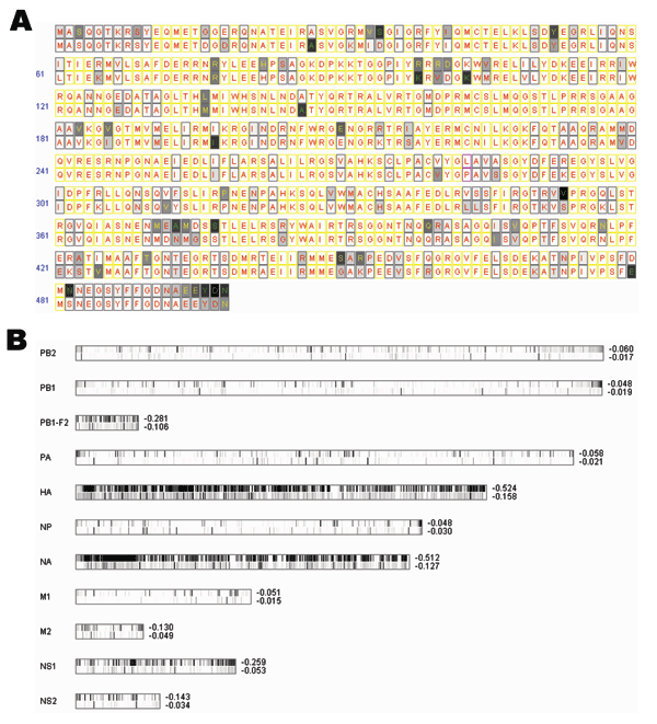 A) Entropy plot for avian versus human influenza viruses for NP amino acid residues. In each aligned position, we have a consensus residue for 95 avian strains displayed on top and a consensus residue for 306 human strains at the bottom. Completely conserved amino acid positions are filled with white; less conserved amino acids are filled in various gray shadings. Positions in which 1 single residue dominates &gt;90%, &lt;90% but &gt;75%, and &lt;75% are labeled with red, yellow, and green lette