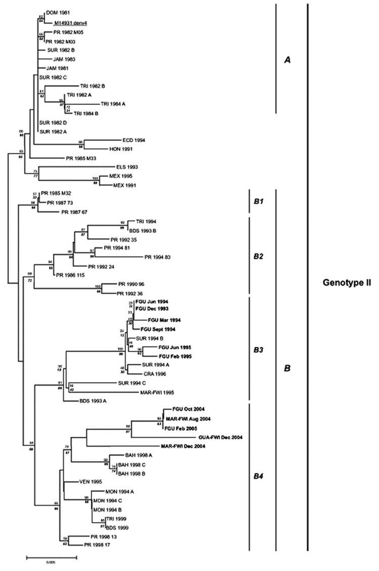 Phylogenetic tree of American dengue virus type 4 (DENV-4) strains generated by using the neighbor-joining algorithm with Kimura 2 parameter distance. Numbers above branches refer to bootstrap values generated by using distance, and numbers under nodes refer to bootstrap values generated by using parsimony. Names of isolates refer to country and are listed in the Table. Accession no. M14931 refers to the complete genome of DENV-4. A and B refer to the 1981 introduction group and to the modern Ca