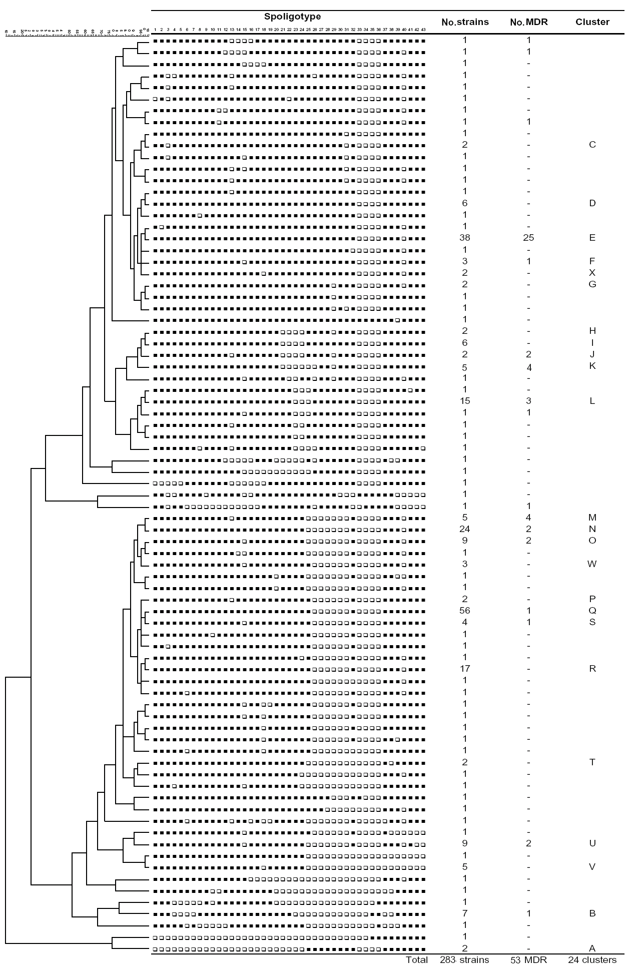 Dendrogram of patterns of the 283 strains spoligotyped (53 multidrug-resistant [MDR] and 230 non-MDR strains). For a printer friendly version of Figure A1, available at http://wwwnc.cdc.gov/eid/pdfs/06-0361-FA1.pdf.
