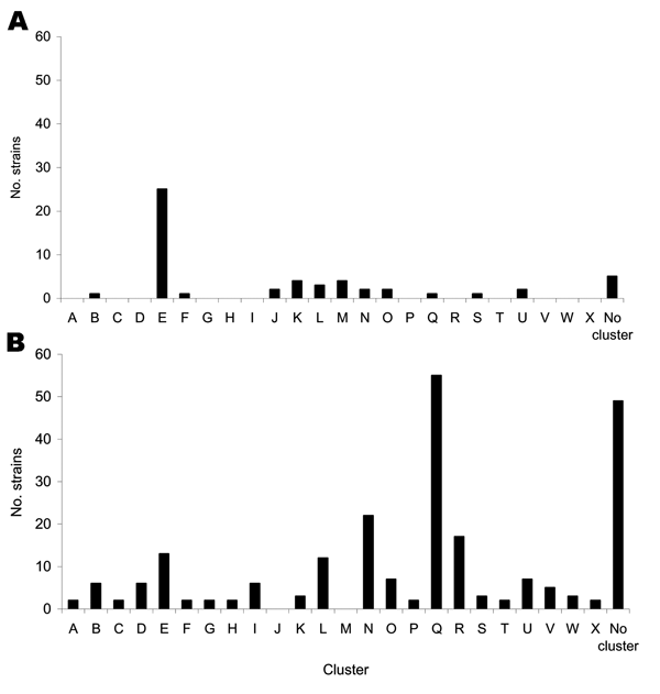 Strain distribution into various clusters observed among 53 spoligotyped multidrug-resistant (MDR) strains (A) and 230 spoligotyped non-MDR strains (B).
